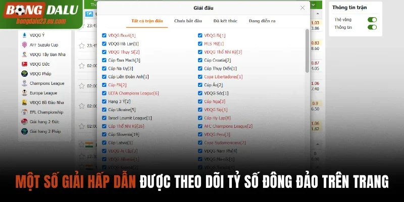 Các giải đấu được xem kết quả bóng đá nhiều nhất tại Bongdalu