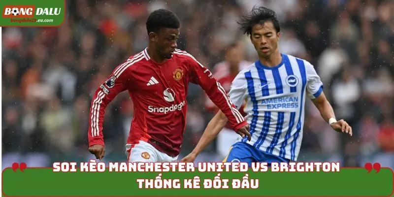 Soi kèo Manchester United vs Brighton khi thống kê kết quả đối đầu