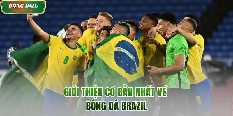Giới thiệu cơ bản nhất về bóng đá Brazil